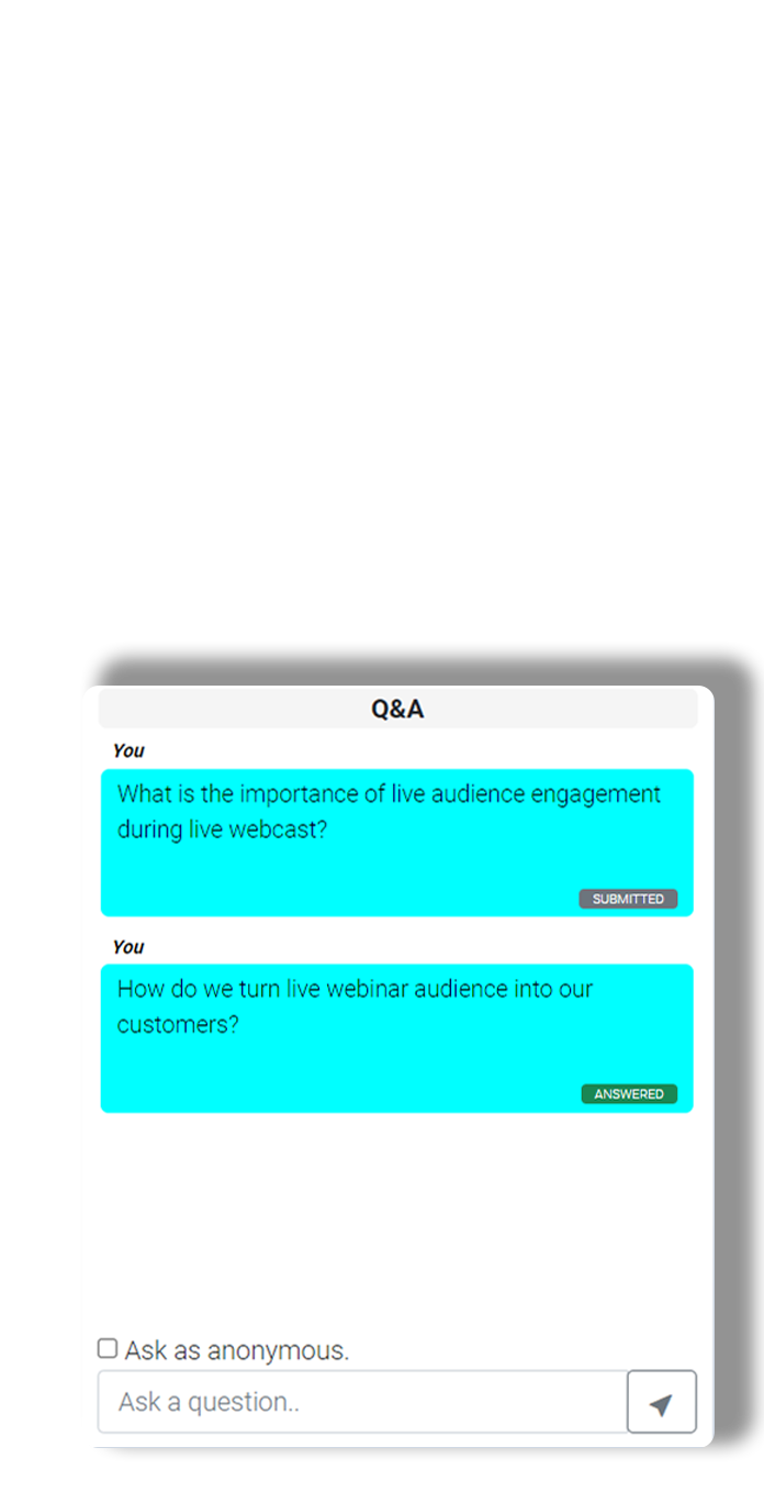 Q&A Interface